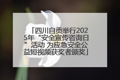 四川自贡举行2025年“安全宣传咨询日”活动 为应急安全公益短视频获奖者颁奖