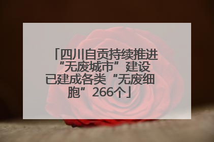 四川自贡持续推进“无废城市”建设 已建成各类“无废细胞”266个