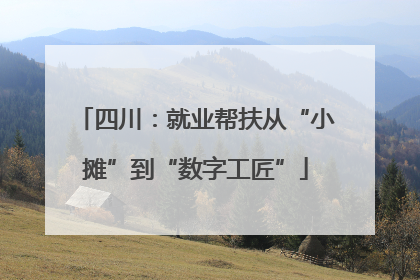 四川：就业帮扶从“小摊”到“数字工匠”