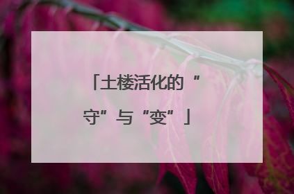 土楼活化的“守”与“变”
