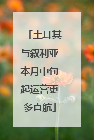 土耳其与叙利亚本月中旬起运营更多直航