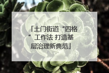土门街道“四格”工作法 打造基层治理新典范