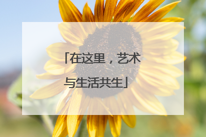 在这里，艺术与生活共生