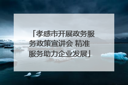 孝感市开展政务服务政策宣讲会 精准服务助力企业发展
