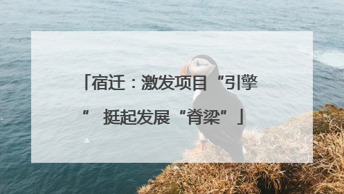 宿迁：激发项目“引擎” 挺起发展“脊梁”
