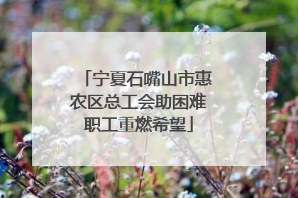 宁夏石嘴山市惠农区总工会助困难职工重燃希望