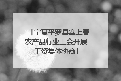 宁夏平罗县塞上春农产品行业工会开展工资集体协商