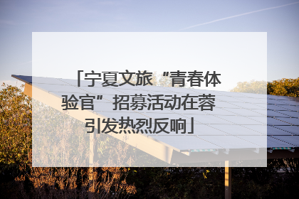 宁夏文旅“青春体验官”招募活动在蓉引发热烈反响
