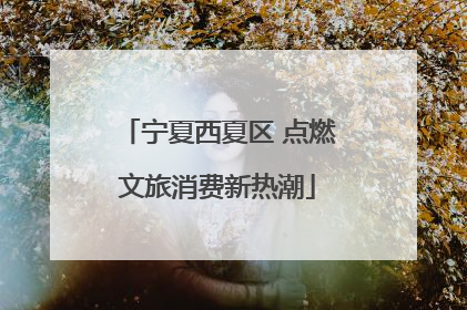 宁夏西夏区 点燃文旅消费新热潮