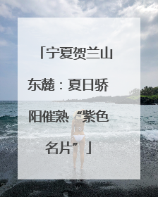 宁夏贺兰山东麓：夏日骄阳催熟“紫色名片”