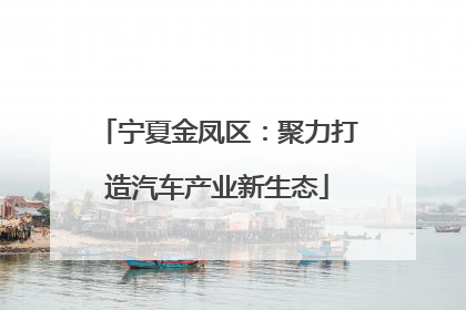 宁夏金凤区：聚力打造汽车产业新生态