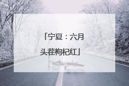 宁夏：六月头茬枸杞红
