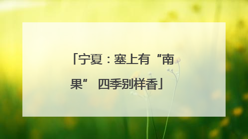 宁夏：塞上有“南果” 四季别样香