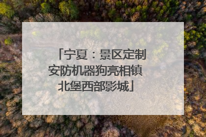 宁夏：景区定制安防机器狗亮相镇北堡西部影城