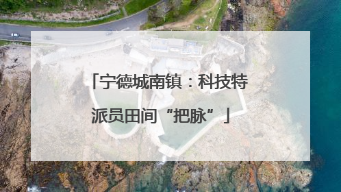 宁德城南镇：科技特派员田间“把脉”