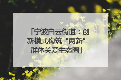 宁波白云街道：创新模式构筑“两新”群体关爱生态圈