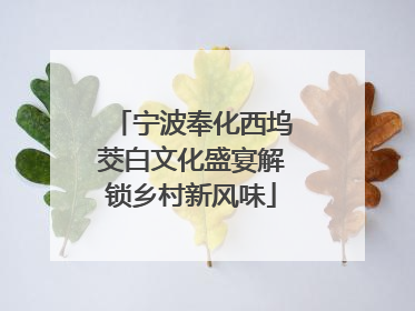 宁波奉化西坞茭白文化盛宴解锁乡村新风味
