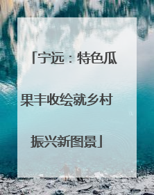 宁远：特色瓜果丰收绘就乡村振兴新图景