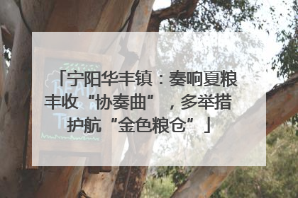 宁阳华丰镇：奏响夏粮丰收“协奏曲”，多举措护航“金色粮仓”