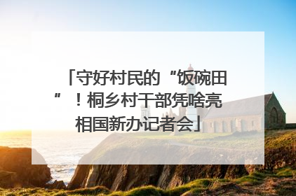 守好村民的“饭碗田”！桐乡村干部凭啥亮相国新办记者会