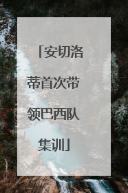 安切洛蒂首次带领巴西队集训