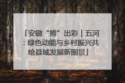 安徽“搏”出彩｜五河：绿色动能与乡村振兴共绘县域发展新图景
