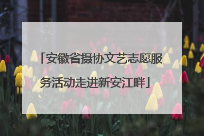 安徽省摄协文艺志愿服务活动走进新安江畔