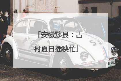 安徽黟县：古村夏日插秧忙