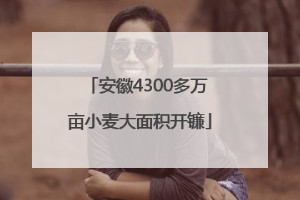 安徽4300多万亩小麦大面积开镰