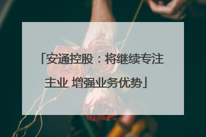 安通控股：将继续专注主业 增强业务优势