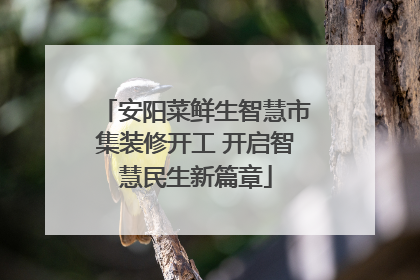 安阳菜鲜生智慧市集装修开工 开启智慧民生新篇章