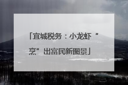 宜城税务：小龙虾“烹”出富民新图景