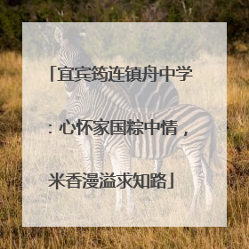 宜宾筠连镇舟中学：心怀家国粽中情，米香漫溢求知路