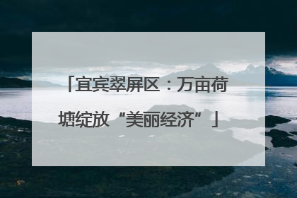宜宾翠屏区：万亩荷塘绽放“美丽经济”