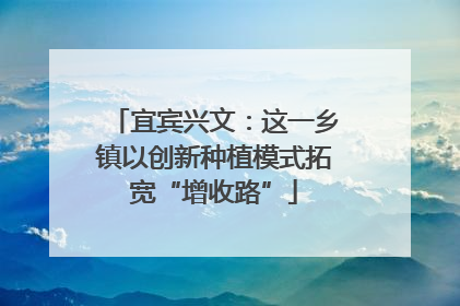 宜宾兴文：这一乡镇以创新种植模式拓宽“增收路”