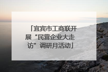 宜宾市工商联开展“民营企业大走访”调研月活动