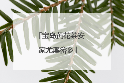 宝岛黄花菜安家尤溪畲乡