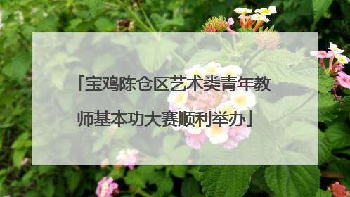 宝鸡陈仓区艺术类青年教师基本功大赛顺利举办