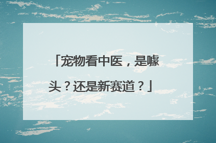 宠物看中医，是噱头？还是新赛道？