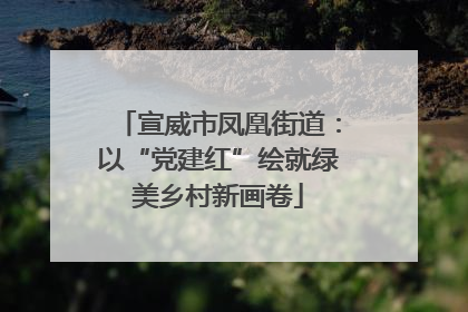 宣威市凤凰街道：以“党建红”绘就绿美乡村新画卷