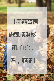 墨西哥国旗飘扬洛杉矶 白宫：看，罪证