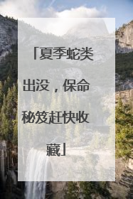 夏季蛇类出没，保命秘笈赶快收藏