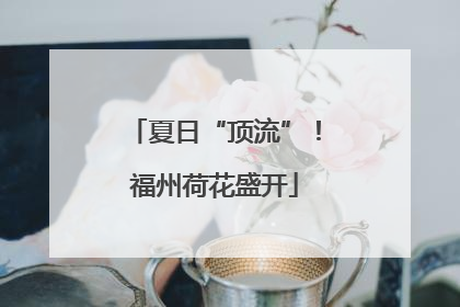 夏日“顶流”！福州荷花盛开