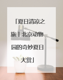 夏日清凉之旅丨北京动物园的奇妙夏日大赏