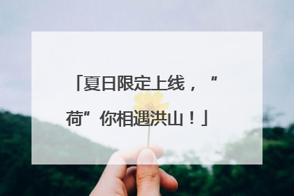 夏日限定上线，“荷”你相遇洪山！