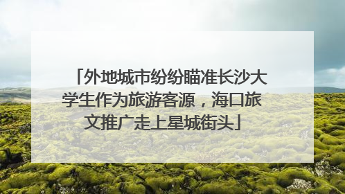 外地城市纷纷瞄准长沙大学生作为旅游客源，海口旅文推广走上星城街头