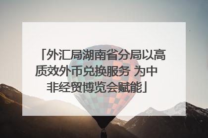 外汇局湖南省分局以高质效外币兑换服务 为中非经贸博览会赋能
