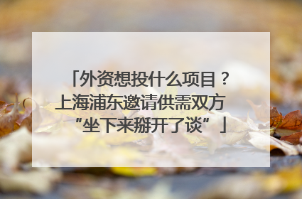 外资想投什么项目？上海浦东邀请供需双方“坐下来掰开了谈”
