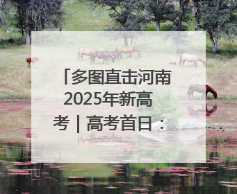 多图直击河南2025年新高考｜高考首日：南阳考点考生信心满满迎战