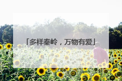 多样秦岭，万物有爱
